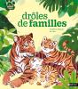 Drôles De Familles - Preview