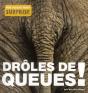Droles De Queues - Preview