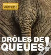 Capa do artigo Droles De Queues
