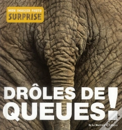 Capa do artigo Droles De Queues