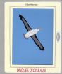 Drôles D'Oiseaux - Preview
