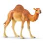 Dromedário Schleich Wild Life 14832 - Preview