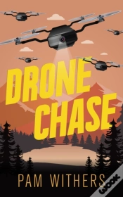 Capa do artigo Drone Chase