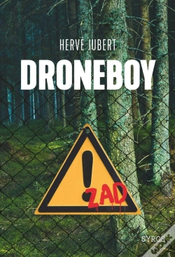 Capa do artigo Droneboy
