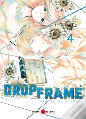 Capa do artigo Drop Frame - Volume 4