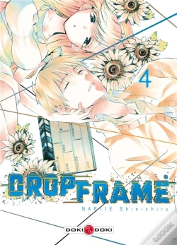 Capa do artigo Drop Frame - Volume 4