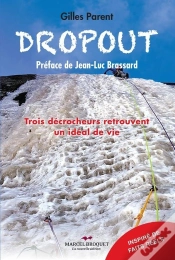 Capa do artigo Dropout