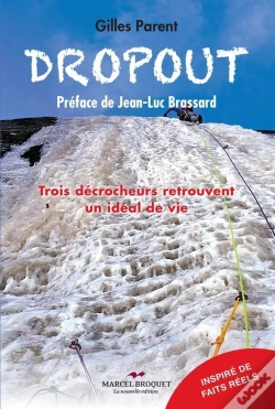 Capa do artigo Dropout