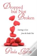 Dropped But Not Broken