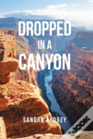 Dropped In A Canyon