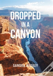 Dropped In A Canyon