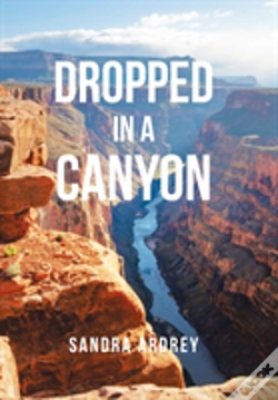 Capa do artigo Dropped In A Canyon