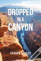 Dropped In A Canyon