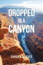 Dropped In A Canyon - Preview