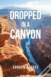 Dropped In A Canyon