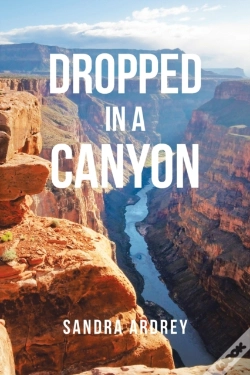 Capa do artigo Dropped In A Canyon