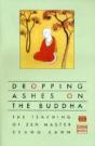 Dropping Ashes On The Buddha - Preview