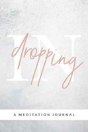 Dropping In - Preview
