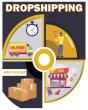 Dropshipping E-Commerce Business Model 2022 - Preview