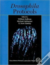 Capa do artigo Drosophila Protocols