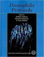 Drosophila Protocols - Preview