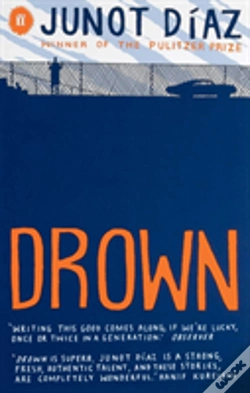 Capa do artigo Drown