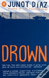 Capa do artigo Drown