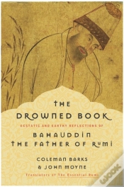 Capa do artigo Drowned Book