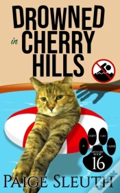 Capa do artigo Drowned In Cherry Hills