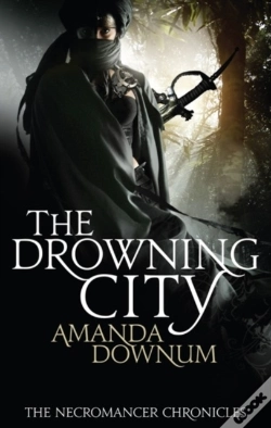 Capa do artigo Drowning City