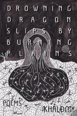 Capa do artigo Drowning Dragon Slips By Burning Plains