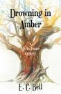 Drowning In Amber - Preview