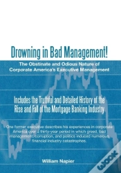 Capa do artigo Drowning In Bad Management!