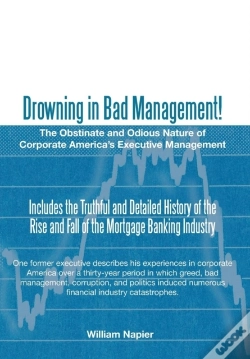 Capa do artigo Drowning In Bad Management!