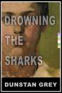 Drowning The Sharks - Preview
