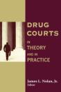 Drug Courts - Preview