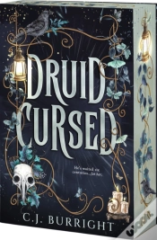 Capa do artigo Druid Cursed