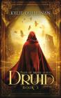 Druid (Hardback Version) - Preview