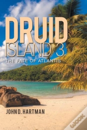 Capa do artigo Druid Island 3