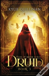 Capa do artigo Druid