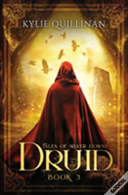 Capa do artigo Druid