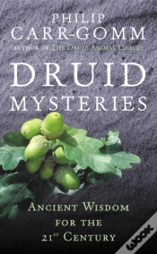 Capa do artigo Druid Mysteries