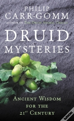 Capa do artigo Druid Mysteries