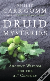Capa do artigo Druid Mysteries