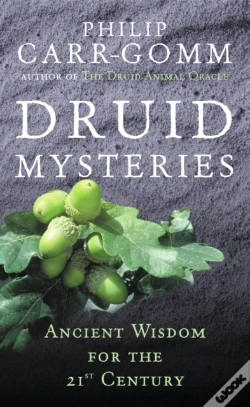 Capa do artigo Druid Mysteries