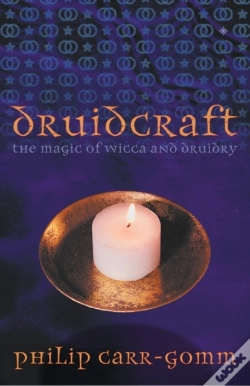 Capa do artigo Druidcraft