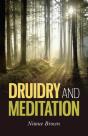 Druidry And Meditation - Preview