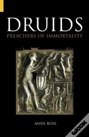 Capa do artigo Druids