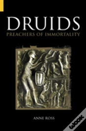 Capa do artigo Druids