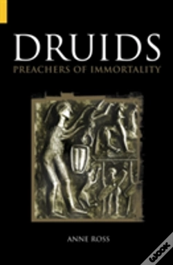 Capa do artigo Druids